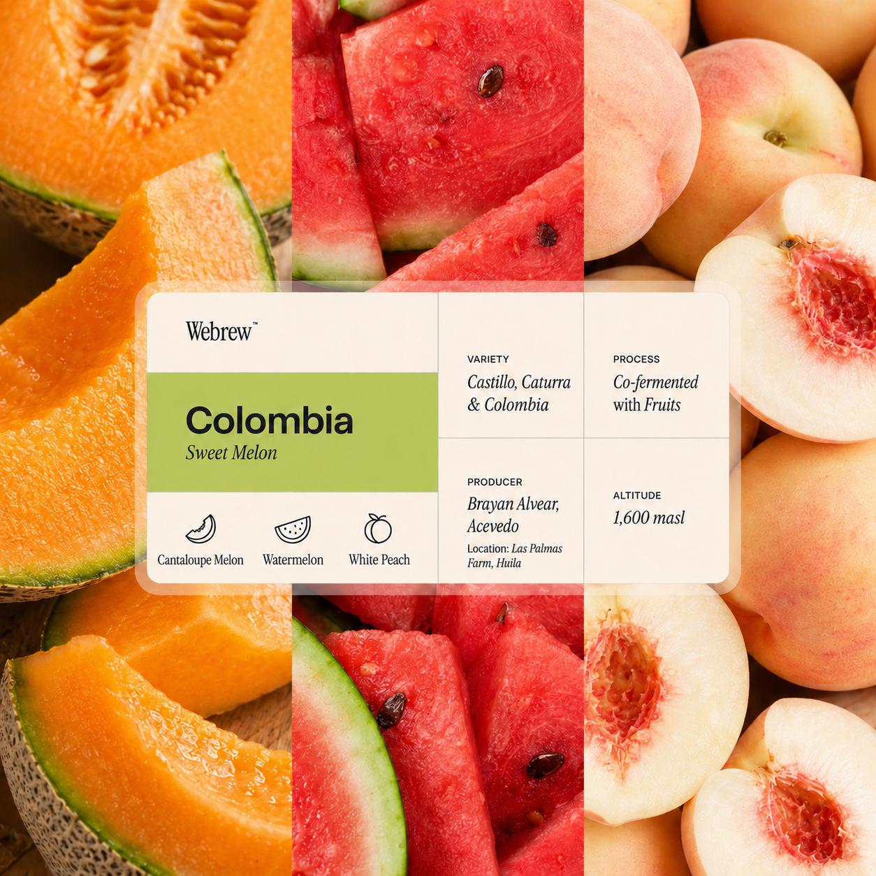 Sweet Melon - Drip Bags