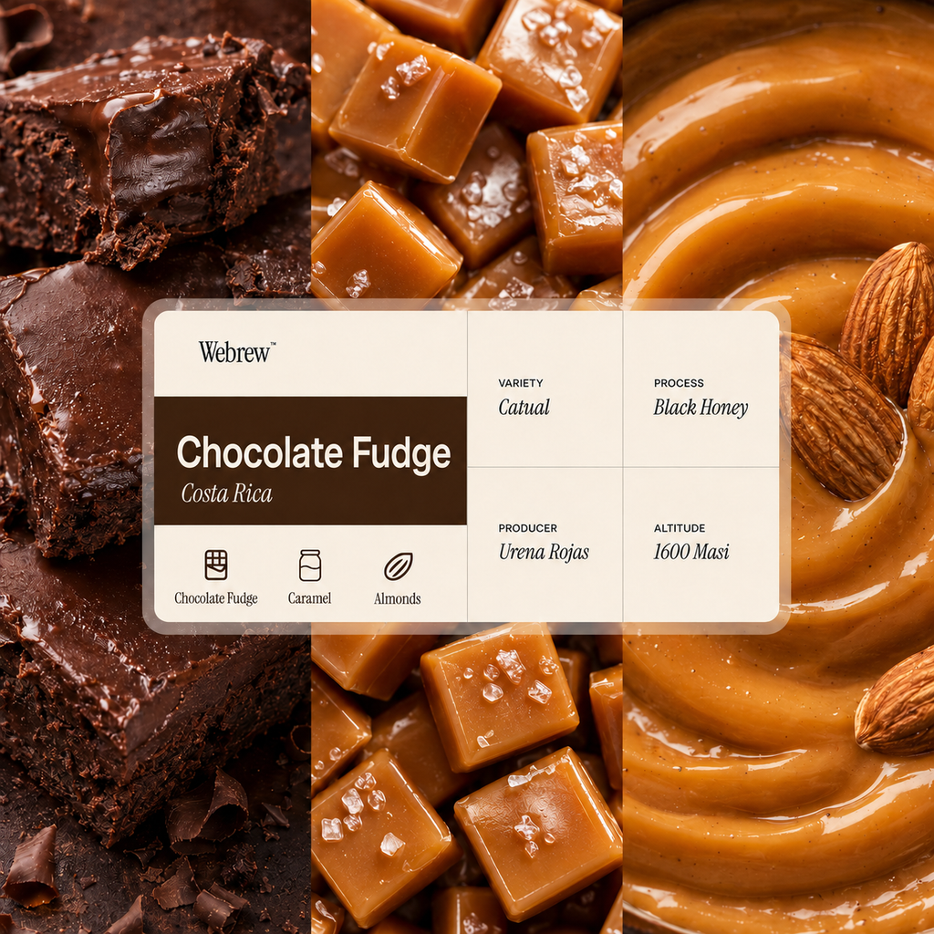 Chocolate Fudge - Coffee Beans