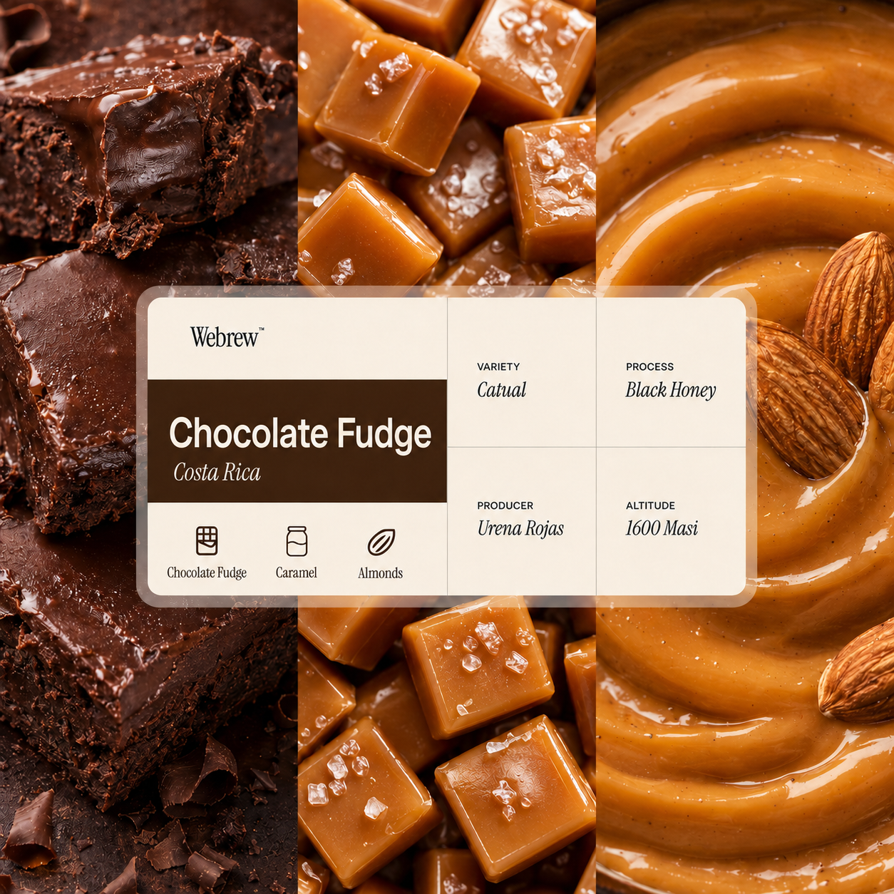 Chocolate Fudge - Coffee Beans